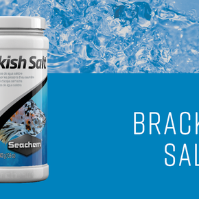 brackish salt