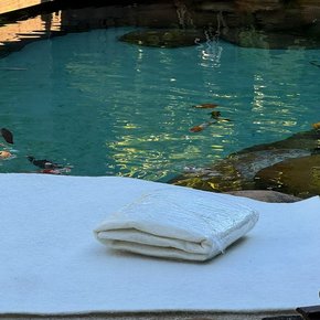 whatsapp image 2024 07 04 at 09 51 01